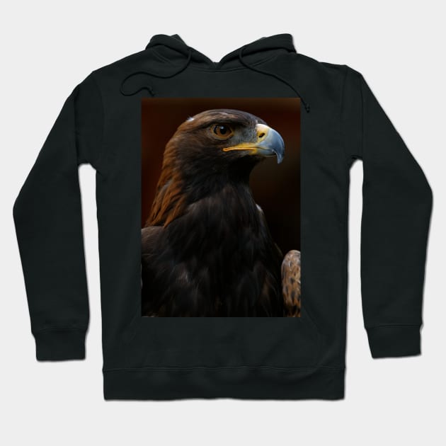 Golden Eagle Hoodie by SHWILDLIFE